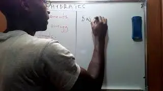 WHAT ARE CARBOHYDRATES