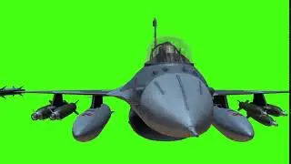 Green Background Video Fly