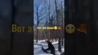 стадо кабанов🐗🐗🐗 