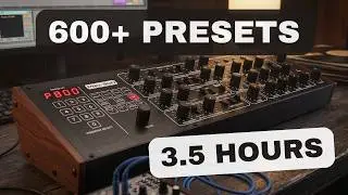 Behringer Pro-800 – Over 600 Presets | 3.5 Hour Synth Exploration [Sound Demo]