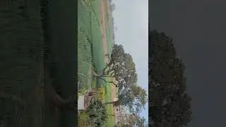 Op Nature view