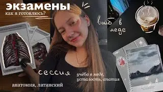 СЕССИЯ В МЕДЕ || ХОЖУ В ЗАЛ, ПЫТАЮСЬ УЧИТЬСЯ И ВСЕ УСПЕТЬ 🤯🥗🧘🏻‍♀️