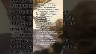 Женился опять 😁 