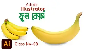 Adobe Illustrator Full Course Class No- 08 || Mesh Tool and Gradient Mesh Tool