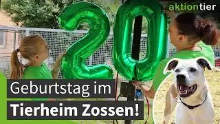 Jubiläum: 20 Jahre aktion tier-Tierheim Zossen!