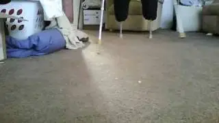 My Peg Legs