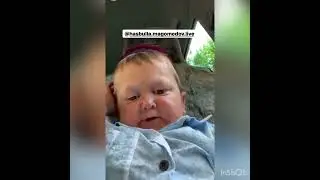 Хасбика поймали гаишники