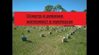 ОСМОТР И РЕВИЗИЯ  МАТКОМЕСТ В НУКЛЕУСАХ