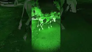 The horrange #shorts #ytshorts #youtubeshorts #creepy #ghost #bhoot #haunted  #trending #bhootvideo