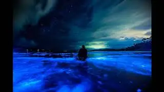 Nu-Moon - Sea Town