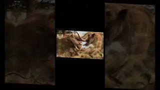 Evolution of elephants🐘 mastodon (part2)