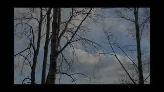 Дрочим на таймлапс заката (Без заката зато с берёзкой)