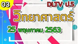DLTV ป.5 วิทยาศาสตร์ วันที่ 25 พ.ค. 2563 l ความสัมพันธ์ระหว่างสิ่งมีชีวิต