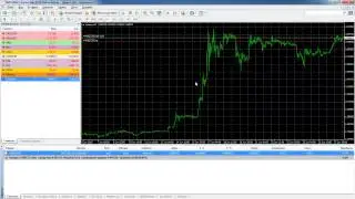 MetaTrader 4. Как установить Stop Loss/Take Profit