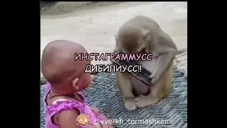 Инстаграммусс дибилиус!! / говорящие животные/юмор 2022/юмор с животными/приколы