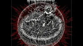 Inquisition - Bloodshed Across The Empyrean Altar Beyond The Celestial Zenith [Full Album] (HD)