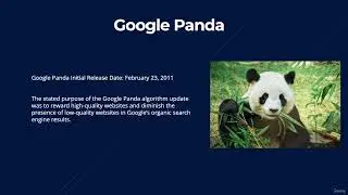 82  Google Panda - The Ultimate SEO Training 2022 - SEO For WordPress Websites