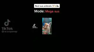 memes i found on discord #17 #shorts #memes