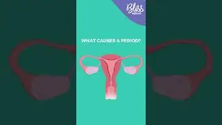 what causes a period? 