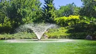 Шум фонтана в городском пруду в знойный летний день