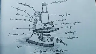 How to draw Compound Microscope || Microscope Drawing || Microscope