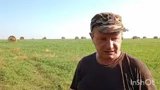 Коп в заброшенной деревне, находки шокируют!