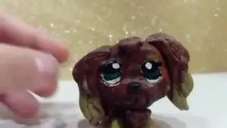 Аделия J Si Cat's broadcast
