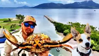 GIANT MUD CRAB / HINCHINBROOK
