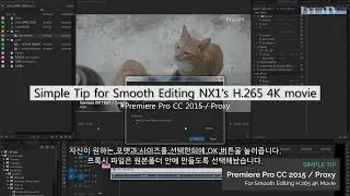 Simple Tip for Smooth Editing NX1's H.265 UHD(4K) Movie / Premiere Pro CC 2015 - Proxy [Eng Sub]