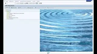 SAP LSMW для начинающих.