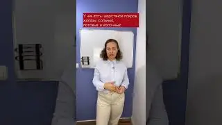 Млекопитающие, характеристика класса. #биологияегэ #репетиторпобиологии #животные #млекопитающие