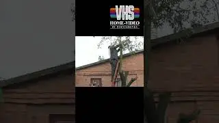 #весільнігоцьки