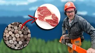 We're Turning Forest into Meat