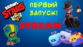 мой первый стрим