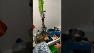 Отжать виноград в квартире 2019 г.