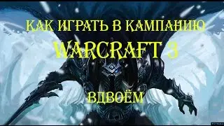 Как играть в кампанию Warcraft 3 вдвоём