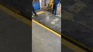 What’s in the yard? New safety lines! 