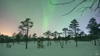Savant - Sable - - - [[Full Visual Trippy 4K Videos Set]] - - - [GetAFix]