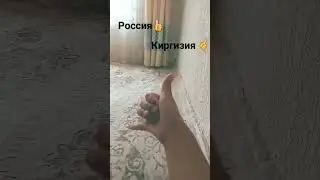 7 августа 2023 г.