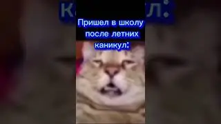 Не могу работать... #meme #memes #funny #dankmemes #memesdaily #funnymemes #lol #shorts