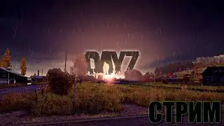 | DayZ | СТРИМ |