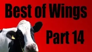 Best of PKA: Wings part 14