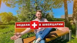 ПЕРВАЯ НЕДЕЛЯ В ШВЕЙЦАРИИ! СТЕРЕОТИПЫ ПО ПТУШКИНУ! ДНЕВНИК ЭМИГРАНТА! 
