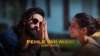 Pehle Bhi Main (Lofi Flip) | Happy Pills | Vishal Mishra | Animal Movie