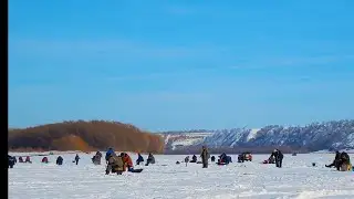 ВЫШЛИ С ПАШЕЙ ПРО ИЗ ПРОТОКИ И ОФИГЕЛИ! ТОЛПА КОСИТ РЫБУ МЕШКАМИ!