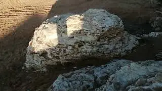 سبحان الله الخالق افضل المنوعات  قناة المتحدة