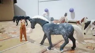 centro ippico il ranch(ep1)
