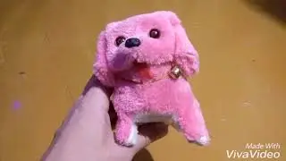 Милая собачка
