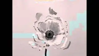 The Naked and Famous   Grow Old