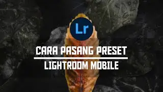 CARA PASANG PRESET LIGHTROOM ANDROID